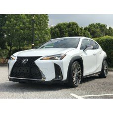 Lexus UX200 F-Sport Package (A)